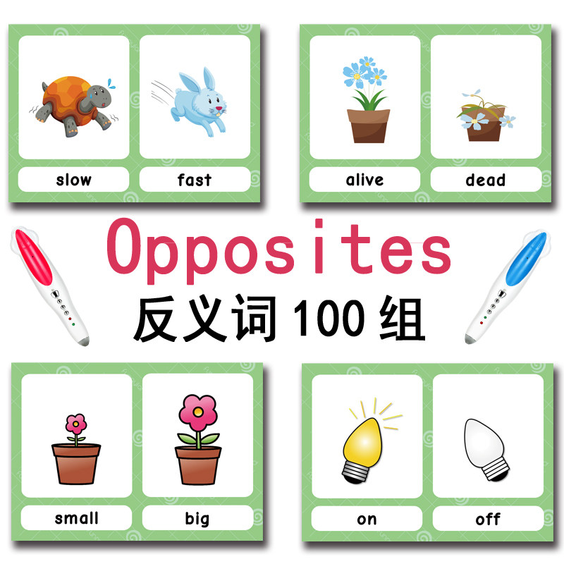 The 100 Groups Opposites Flash – обзор и цена Kids Toys And Games
