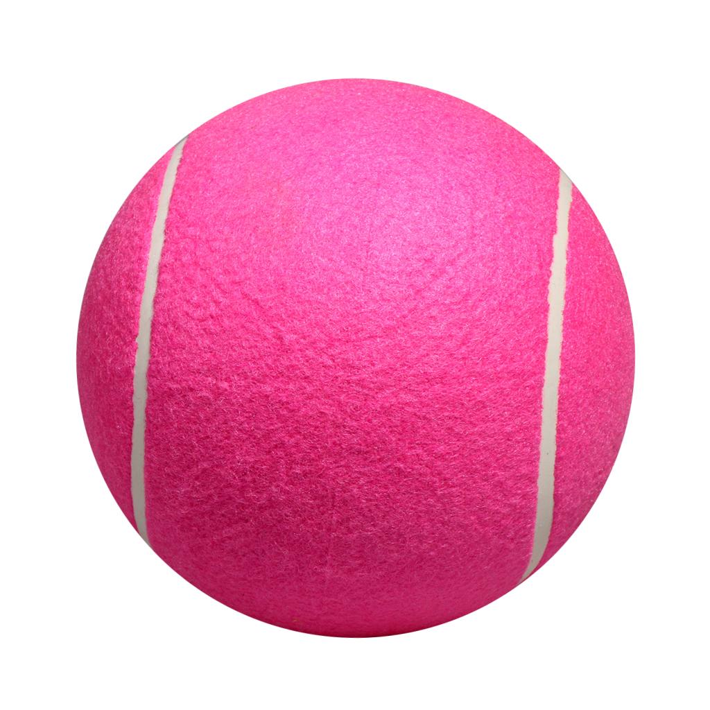 Dog Tennis Ball Toy Inflatable – обзор и цена Kids Toys Exhibition