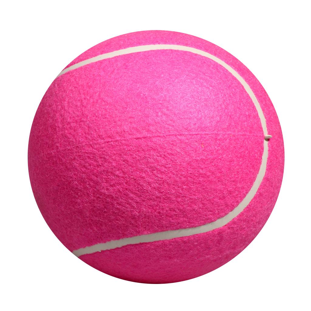 Dog Tennis Ball Toy Inflatable – обзор и цена Kids Toys Exhibition