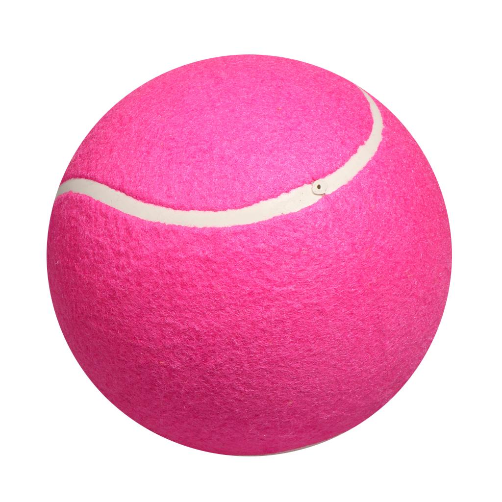 Dog Tennis Ball Toy Inflatable – обзор и цена Kids Toys Exhibition